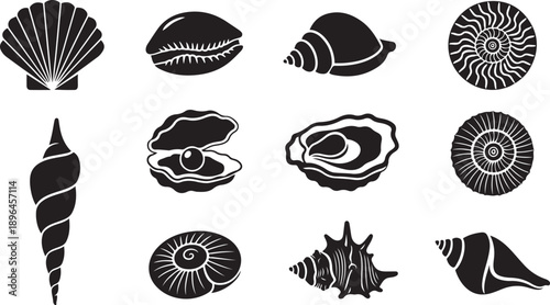Collection of black and white silhouette icons of various seashells Keywords: seashells, shells