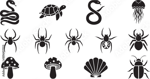 Collection of Black Silhouettes of Reptiles Insects and Fungi snake turtle