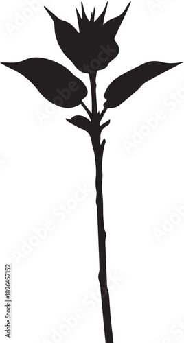 Single flower stalk silhouette vector illustration close up of blooming plant line art graphic