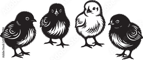 Four Stylized Black and White Chicks with Decorative Feathers chicken bird
