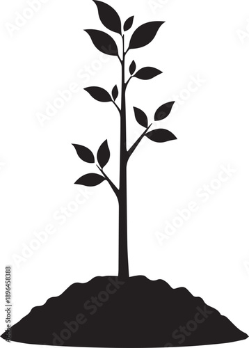 Young sapling tree silhouette vector illustration with soil mound against transparent background