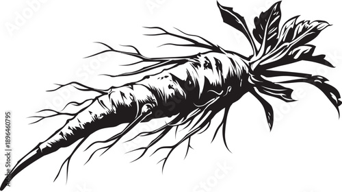 Bold black and white illustration of a root vegetable with leaves and fine roots, set against a blank canvas