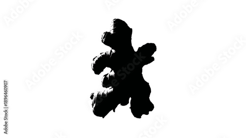 A high-contrast monochrome image of a rhizome plant against a stark white backdrop