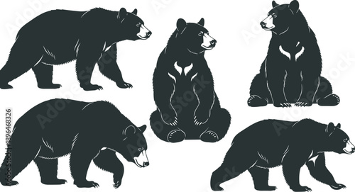 Black Silhouettes Set of Grizzly Bears in Various Poses Including Walking Standing and Sitting For Nature Wildlife and Hunting Concept Isolated on White Background Vector
