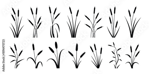 Reed and cattail silhouettes collection featuring wetland grasses and aquatic plants isolated on white background for botanical, nature, and decorative design use