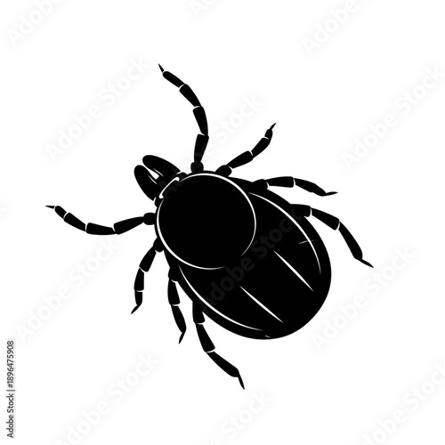 A black and white illustration of a tick a small arachnid parasite