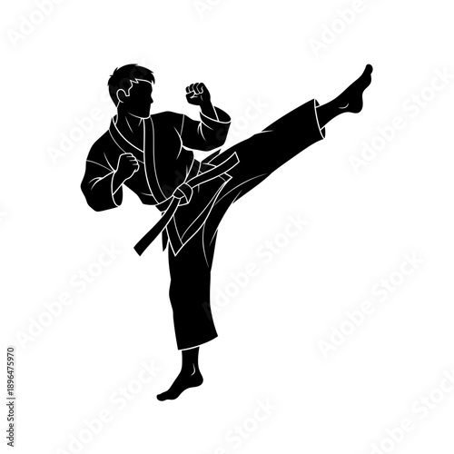 Silhouette of a martial artist performing a high kick in a dynamic pose