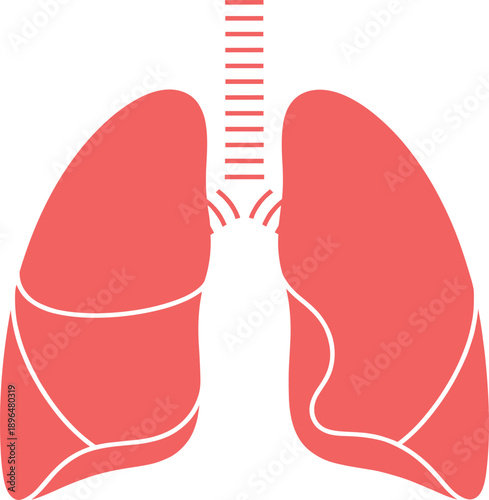 Anatomical Human Lungs Vector Silhouette for Respiratory Health Education, Medical Healthcare Graphics, Pulmonology Research, Breathing Wellness, and Clinical Science Digital Illustration Projects