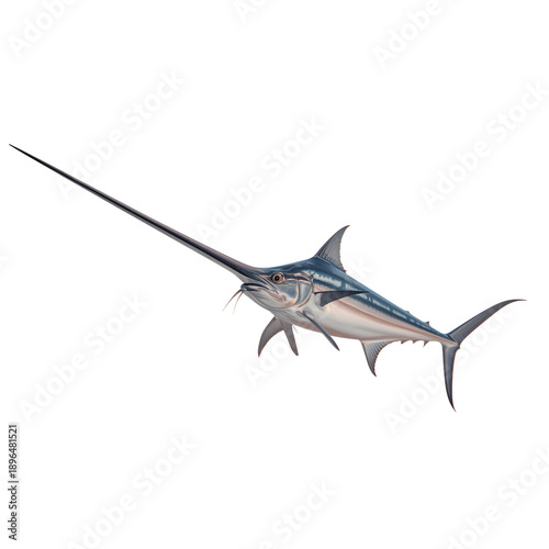 Swordfish Swimming in Ocean Water Near Coral Reef During Daytime Hours in Tro...