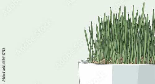 Minimalist green plant growing in white hexagonal pot. Fresh green plant sprouts symbolize growth, nature, and healthy living. Simple green plant for eco friendly decor, interior design, wellness.