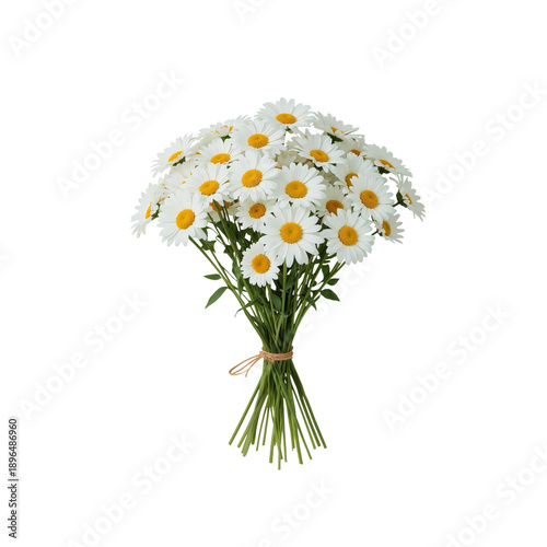 Bright Bouquet of Daisies Held Together With Twine in a Simple Arrangement