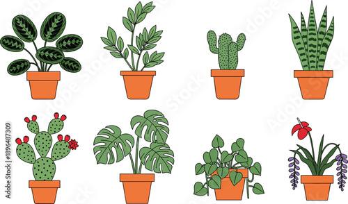 Flat vector illustration of eight different indoor potted plants including prickly pear cactus, monstera, snake plant, and succulents in terracotta,