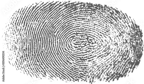 Abstract Fingerprint Design with Grunge Texture Background, Vector Fingerprint Elements Isolated on Transparent Background.