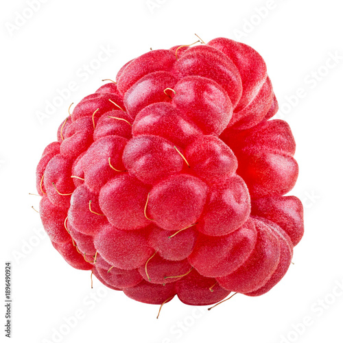 One berry of raspberry isolated on transparent background. PNG