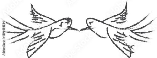 Two birds facing each other in flight