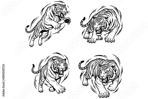 tiger tribal tattoo,
Tigers in Dynamic Fighting Poses Vector Art