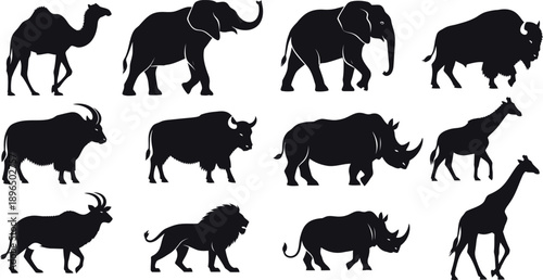 A collection of animal silhouettes walking in various directions on a white background silhouette