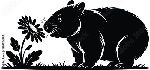 Cute wombat illustration smelling flower, black and white woodland animal artwork isolated on white background for nature design, children graphics, posters, logos, and stock use