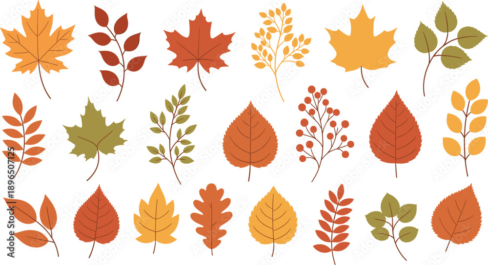 Fototapeta premium Autumn Leaves Collection with Maple, Oak and Various Fall Foliage Isolated on White Background