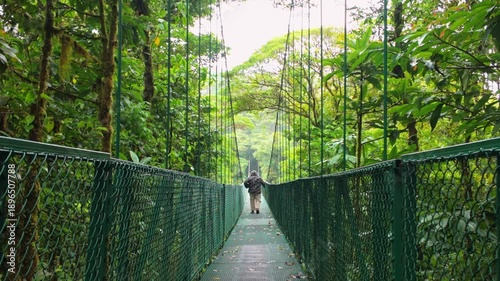 Tourist walking on hanging bridge in monteverde cloud forest