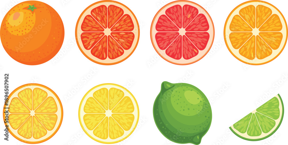 Obraz premium Citrus Fruit Collection with Orange, Grapefruit, Lemon and Lime Whole and Sliced Isolated on White Background