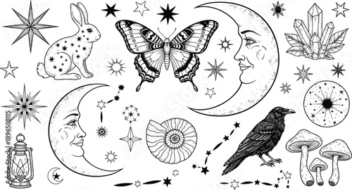 Celestial Mystical Vector Set Featuring Crescent Moon Face Stars Rabbit Butterfly Raven Crystals Mushrooms and Magic Esoteric Elements for Astrology Witchcraft and Spiritual Design