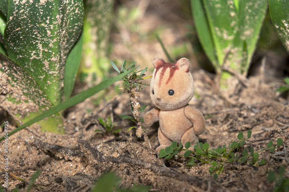 Fototapeta premium Desorientado en el camino sin saber para donde tirar