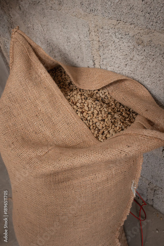 Burlap sack filled with raw green coffee beans at a small coffee farm, representing the origin of specialty coffee before roasting and export.