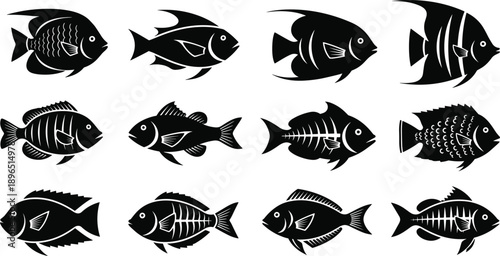 Fish silhouette collection, marine animal design template, decorative aquatic artwork, creative graphic element, underwater motif inspiration, educational sea life illustration