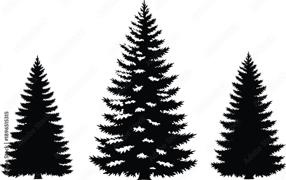 Obraz premium Evergreen trees, pine forest, fir silhouette, nature design, woodland landscape, outdoor scenery, black silhouette, eco symbol, flat vector illustration