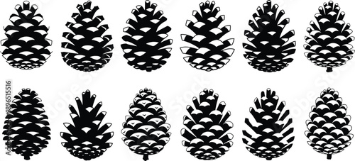 Pine cone silhouette set, botanical forest seed illustration, conifer nature elements, woodland flora design collection, cad drawing flat vector illustration