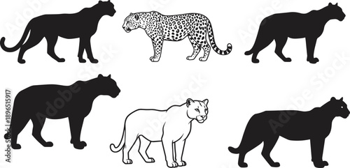 Panther leopard silhouettes, big cat comparison, wild feline vector, black white graphic, animal anatomy icons, predator species art, jungle theme