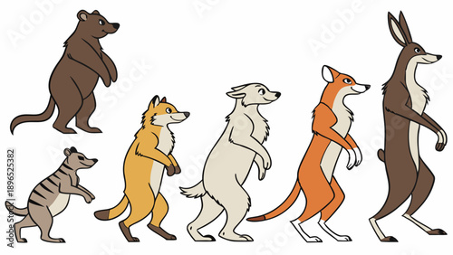 Diverse Cartoon Animals Standing in Line for Educational Materials Wildlife Comparison Chart Design