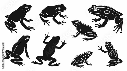Diverse Collection Of Black Silhouette Frogs And Toads For Nature Design Ecology Education And Wildlife Graphics