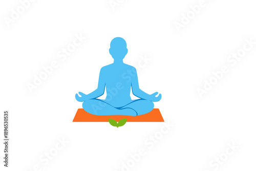 Meditation practice on a yoga mat with a plant in front during a bright day in a calm indoor setting