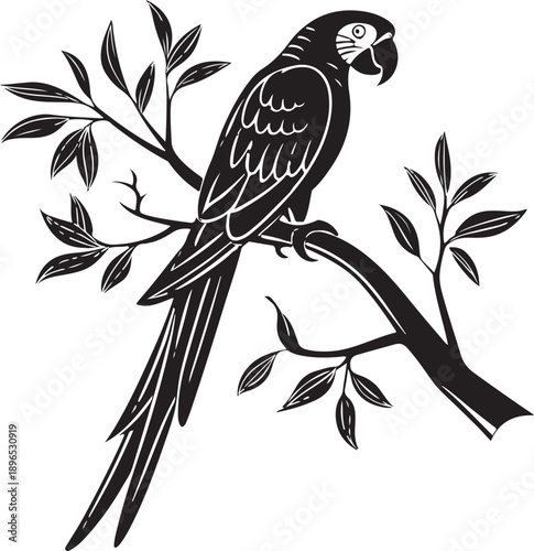 Amazon macaw parrot silhouette vector featuring iconic long tail and curved beak in clean minimalist flat design style