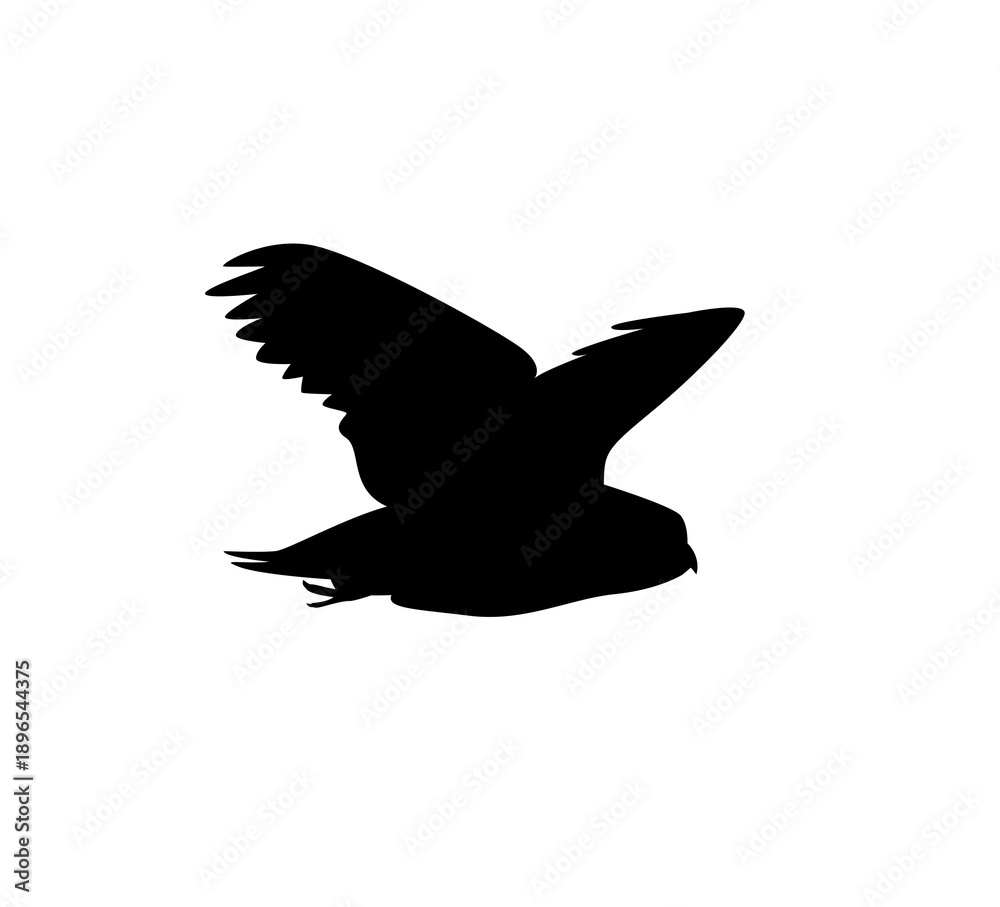 Obraz premium bird silhouette wallpaper