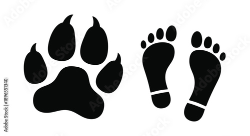 A contrasting depiction of animal and human footprints silhouette