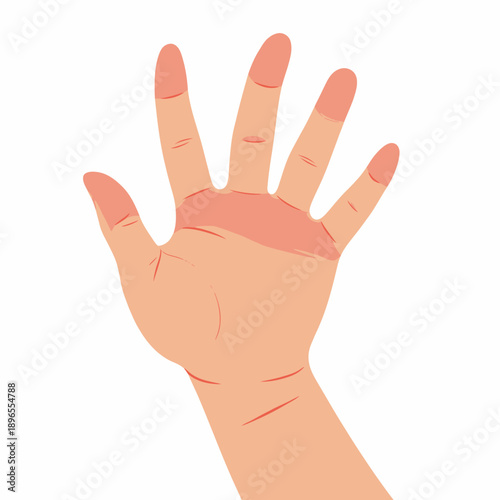 Illustration of a Human Hand with Outstretched Fingers Displaying a Detailed View of Palm Lines and Fingernails on a Light Background