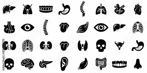Medical anatomy black-and-white icons grid 30 human body parts educational