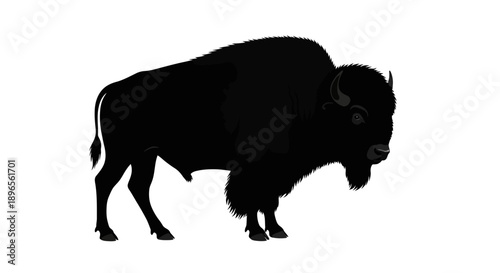 A bison stands alone on a white background in a simple vector illustration