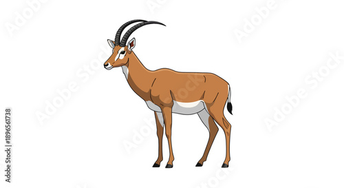 Illustration of a standing antelope with curved horns on a white background