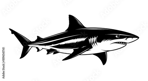 Isolated black and white illustration of a shark with smooth curves and clean lines