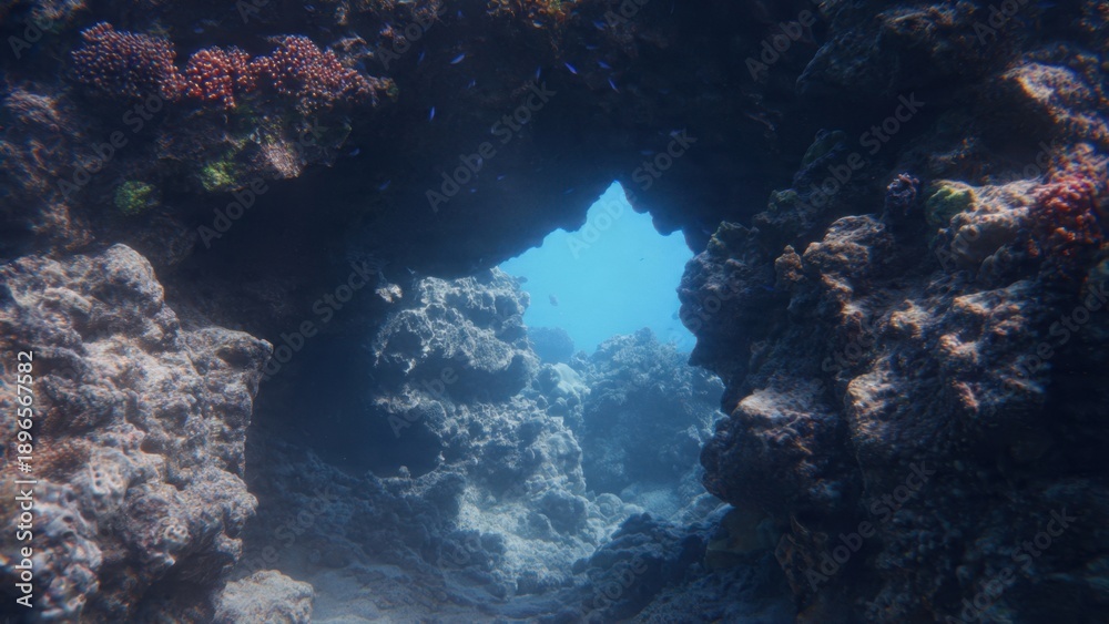 Fototapeta premium Underwater reef with coral and fish