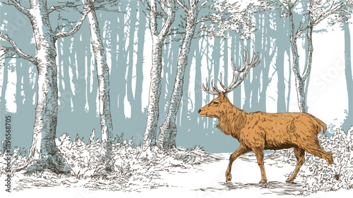 Detailed Illustration of Deer Living in Forest - Wildlife Art