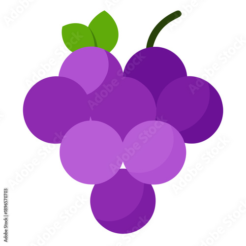 vector illustration of an apple
