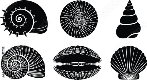 Black and white shell vector set featuring six detailed spiral and scallop seashells isolated on white background elegant minimalist marine nature icons collection
