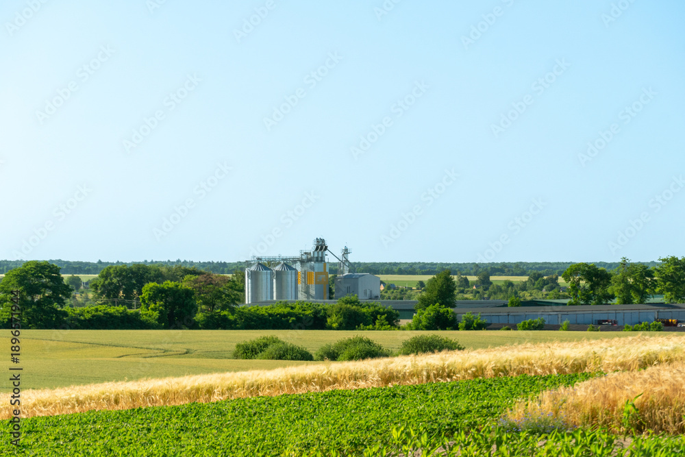 Fototapeta premium Wheat Milling Facility Stands Among Fields and Trees in an Agricultural Area During Sunny Weather, Highlighting the Grain Production Process in the Countryside