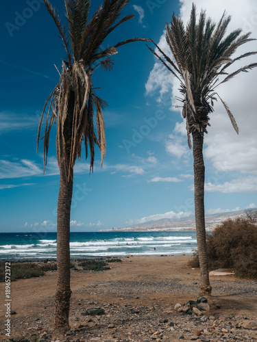 Playa de Las Americas, Teneryfa, Wyspy Kanaryjskie, Hiszpania