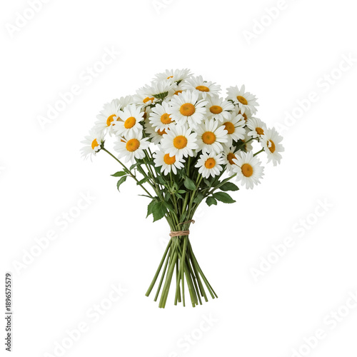 Fresh Daisies Arranged in a Bouquet Ready for Sale at a Local Market in Spring Season